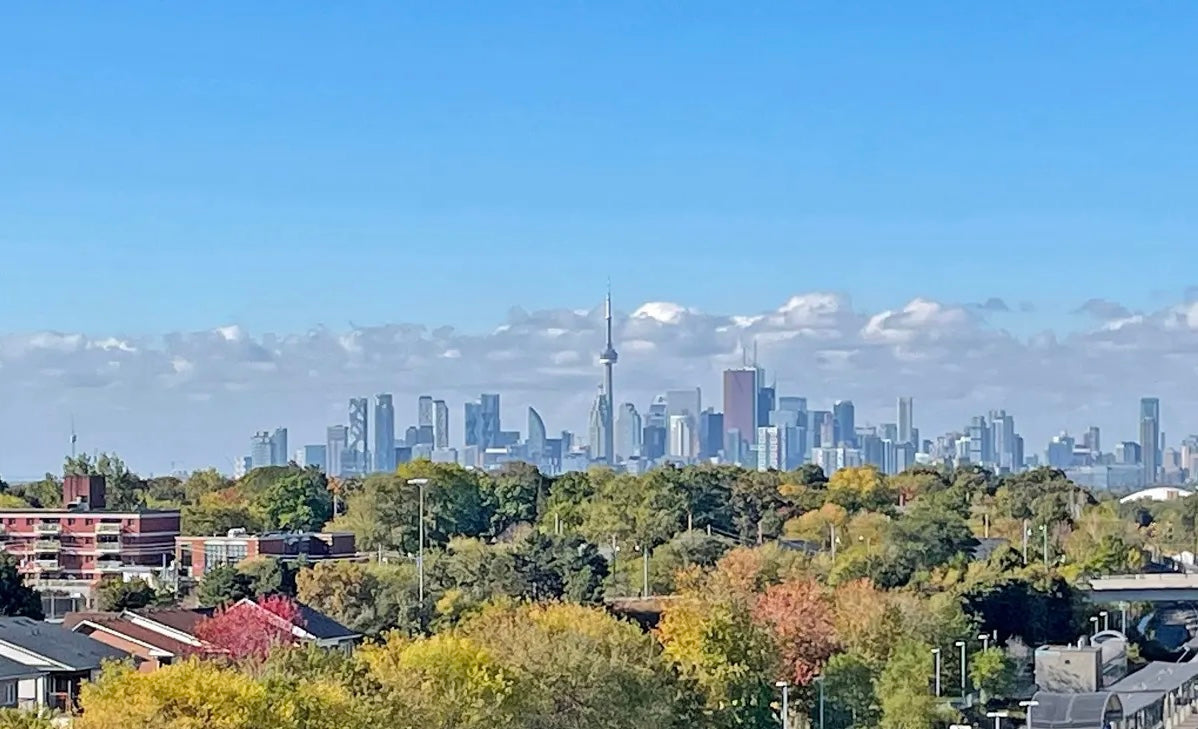 1 Bed 1 Bath Condo For Lease - Toronto, Danforth